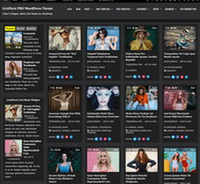  WordPress Themes 
